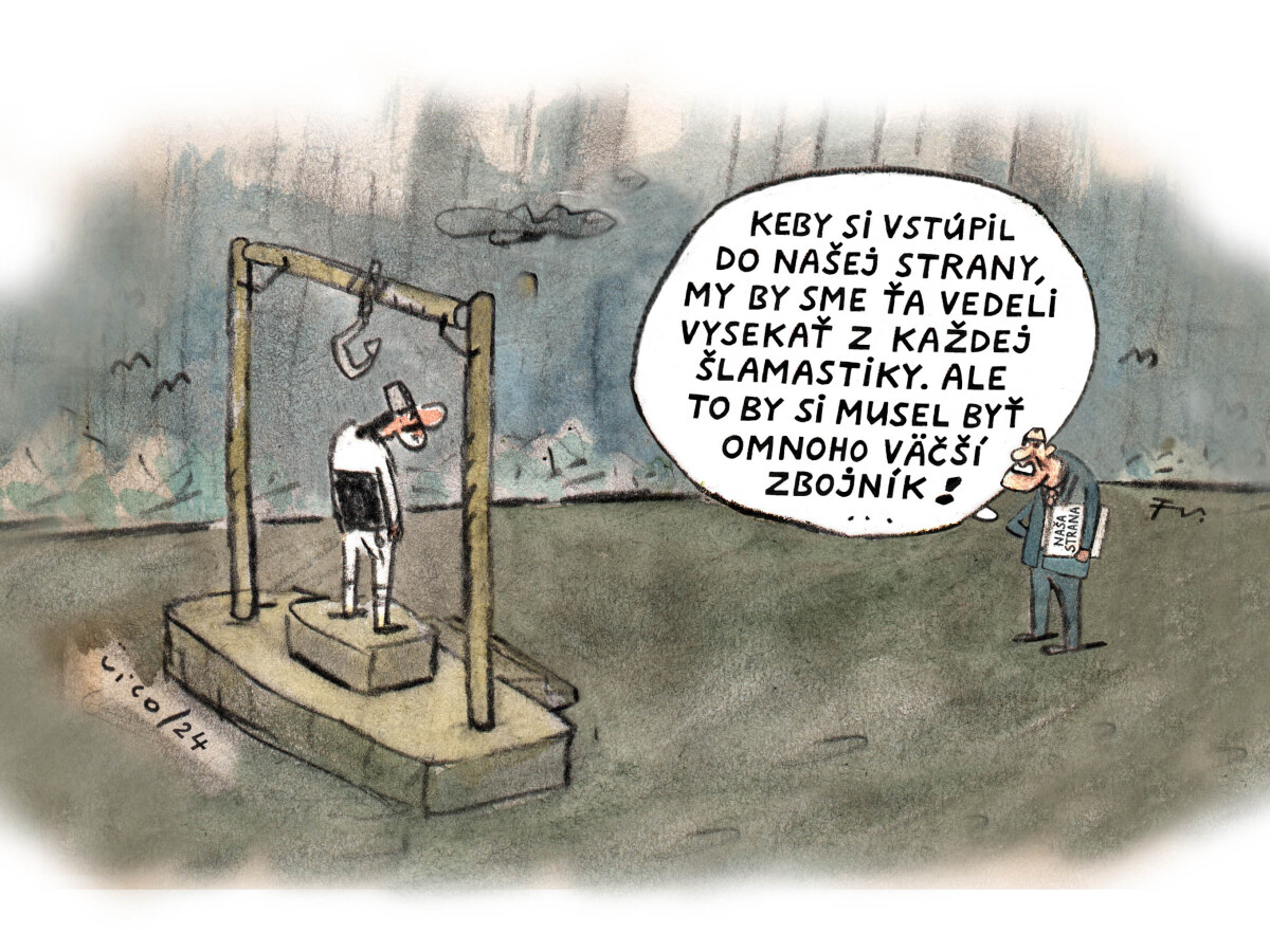 VICO, 04.11.2024