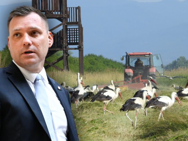 Taraba, step, Slovensko,