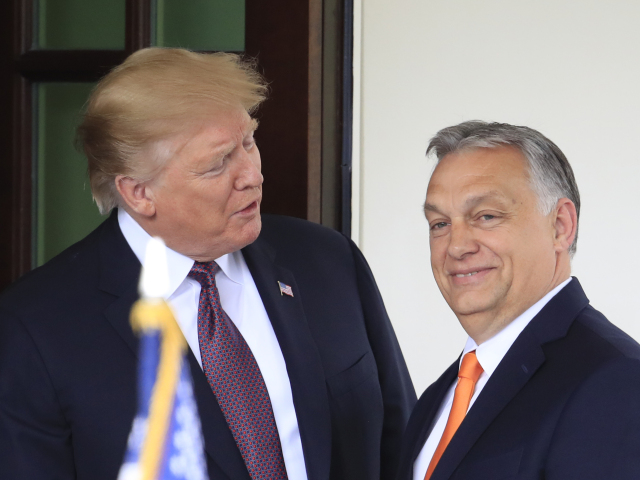US Election 2024 Uneasy Allies