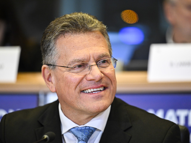 EP-174121A_Sefcovic