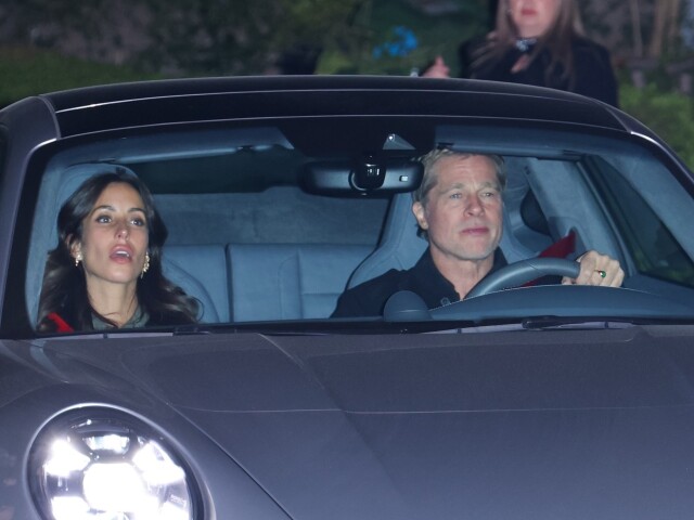 Brad Pitt a jeho partnerka Ines de Ramon