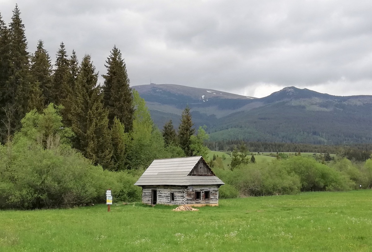 Chamkova stodola, Šumiac