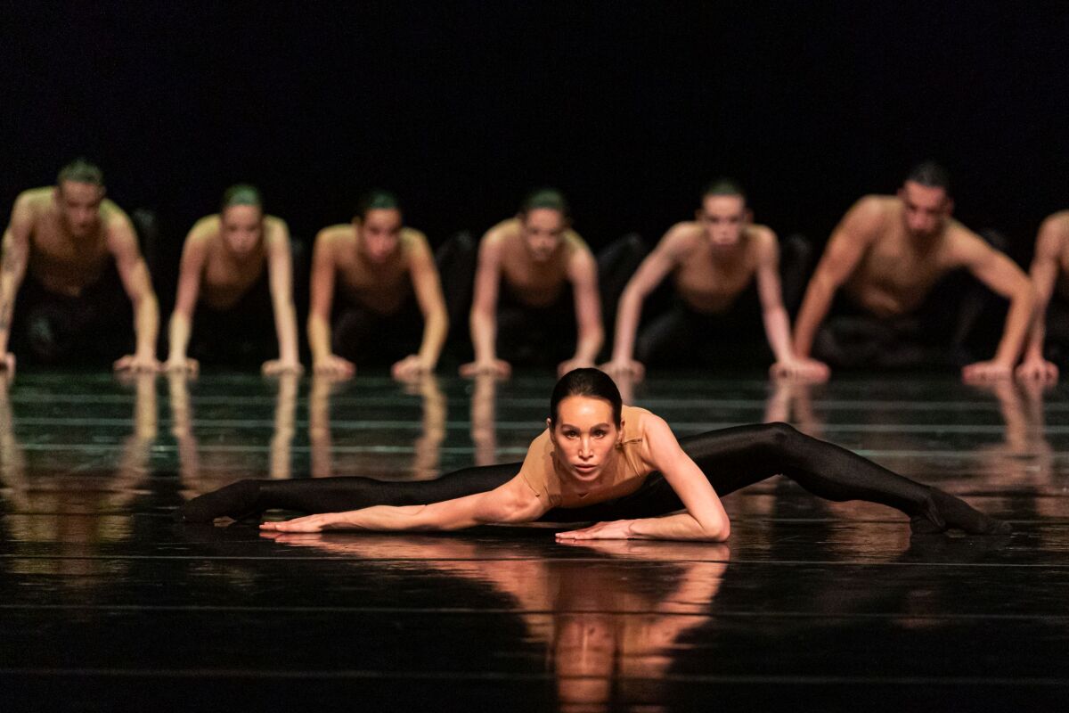 male BOLERO X Olga Chelapnova