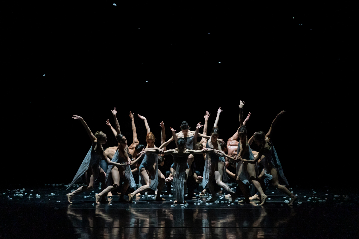 MURMURATION, balet, snd