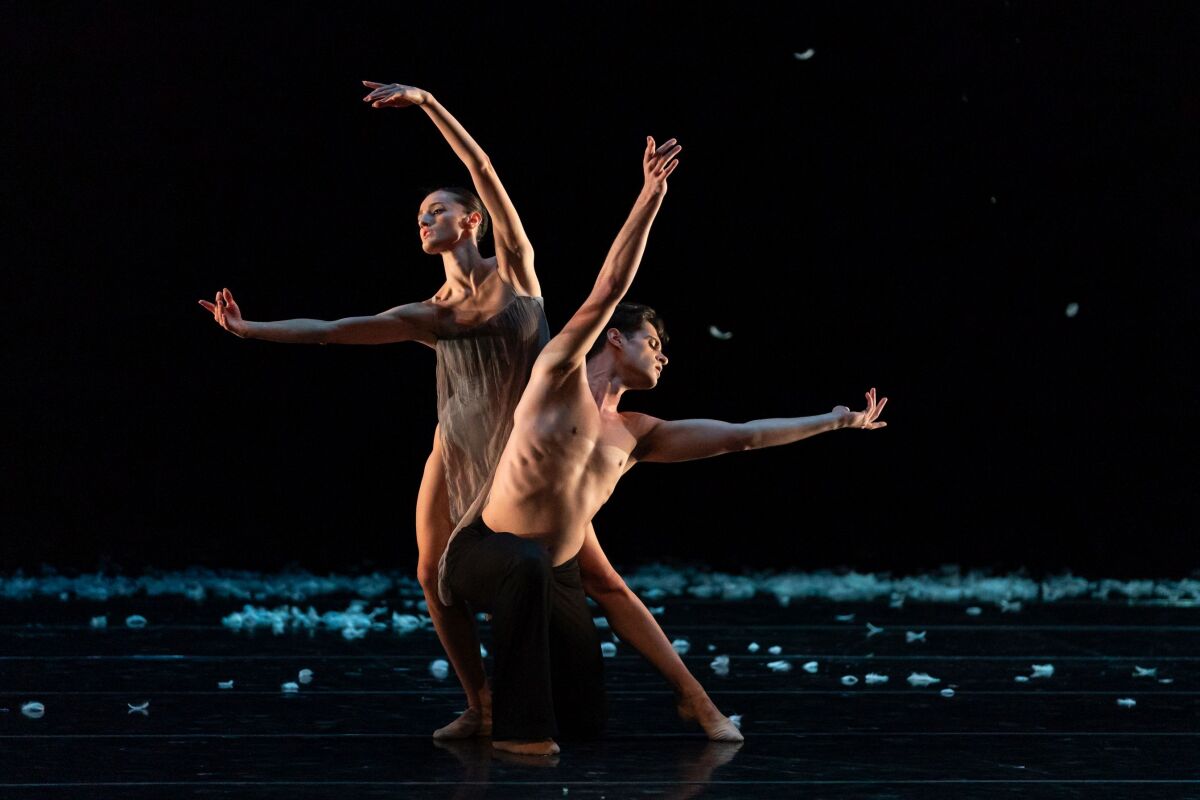 MURMURATION, Ilinca Ducin, Andrea Schifano, balet, SND