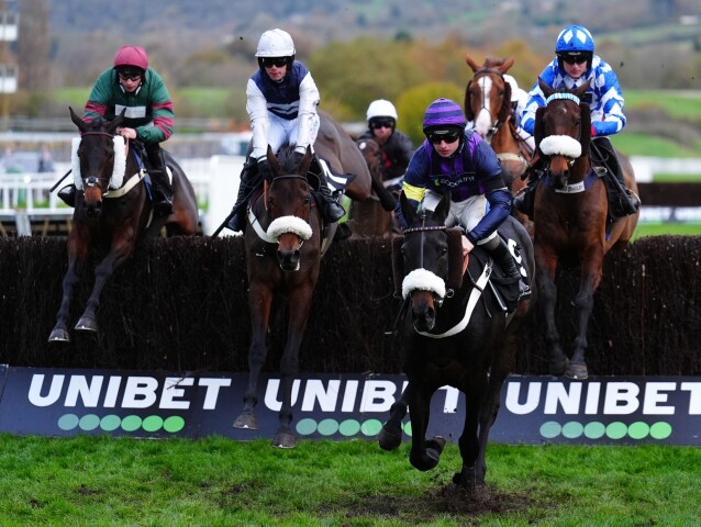 dostihy Cheltenham