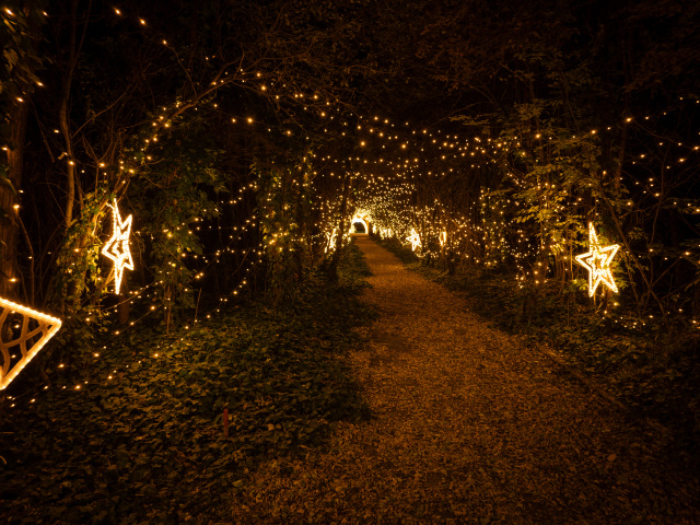 Svetelný park, Komárno, mReportér