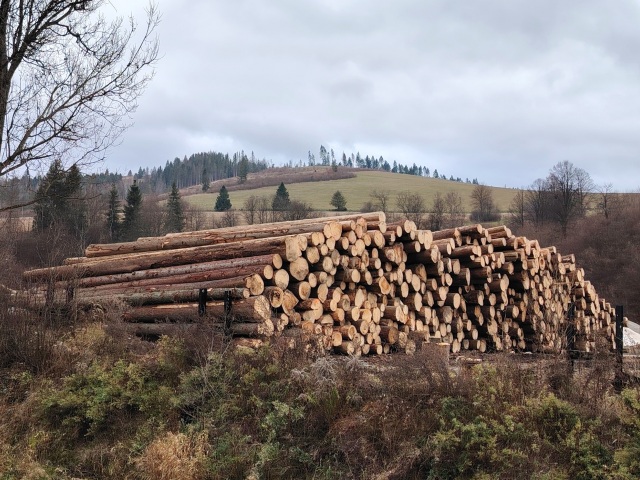 drevo, kalamita, Čierny Balog