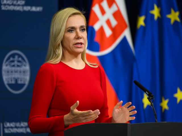 SR Bratislava TK vláda 60. zasadnutie BAX
