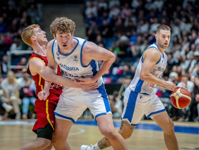 slovensko, basketbal