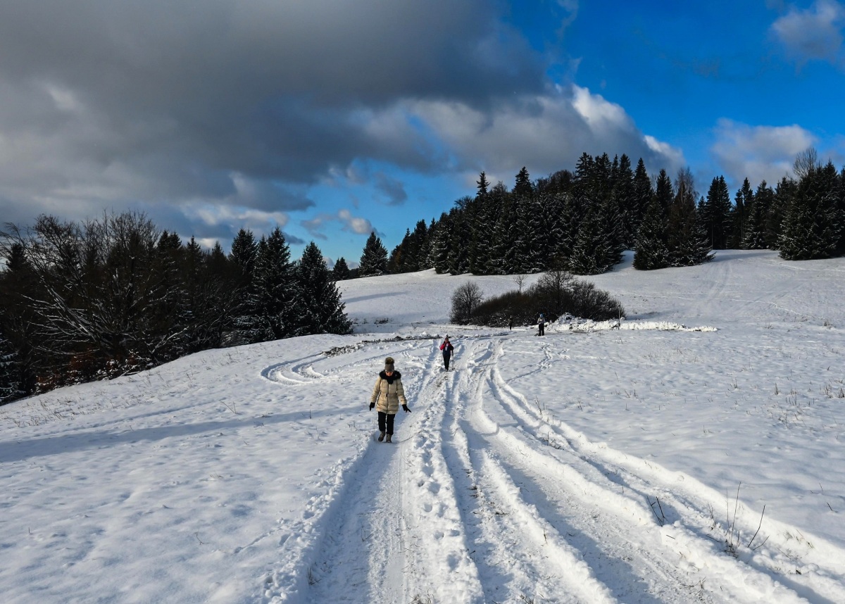 cesta, zemľanky, Brezno