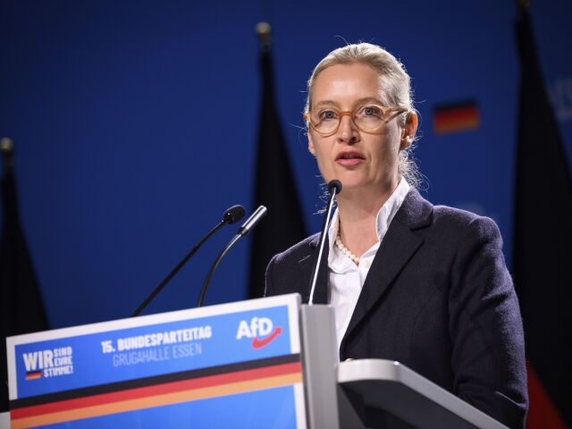 Alice Weidelová