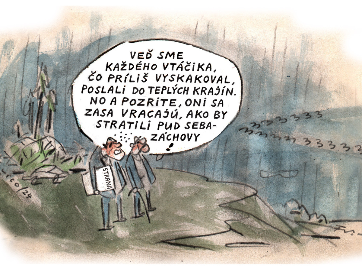 VICO, 09.12.2024