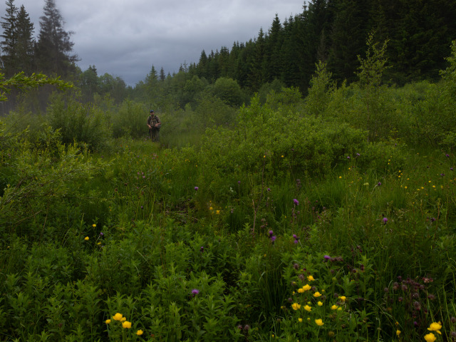 bobor, bobry, tatry, bobrovisko, ondrej kameniar, lesmir