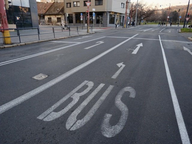 bus