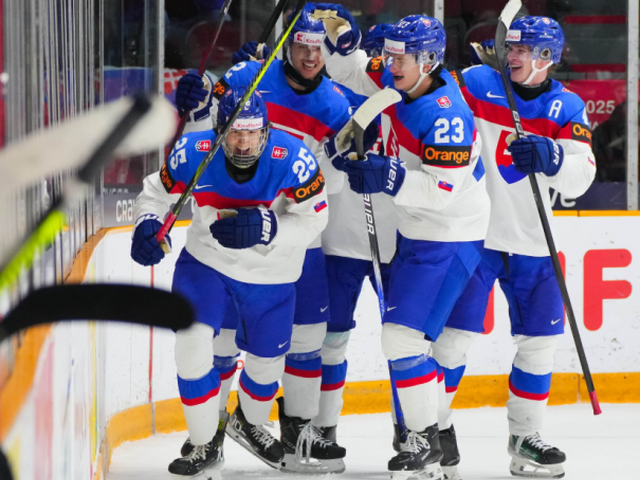 slovensko msj