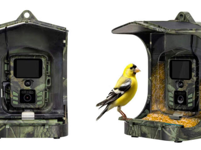 EVOLVEO-Bird Feeder