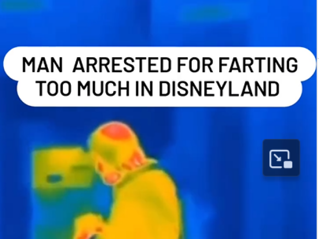disneyland, prdenie,