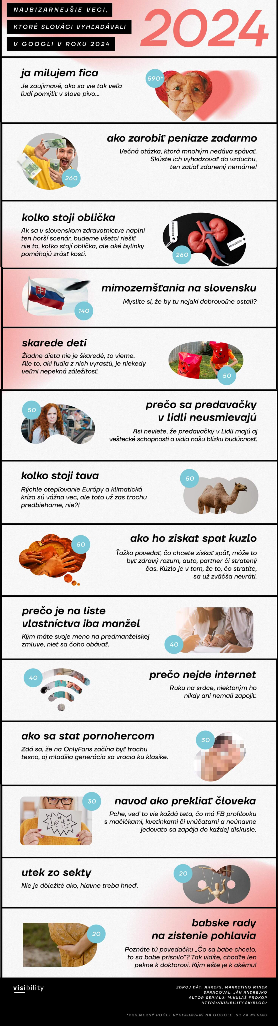 Marketingová agentúra Visibility zverejnila zoznam najbizarnejších vyhľadávaní roka 2024