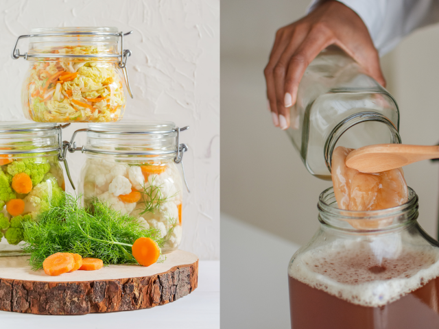 fermentácia, kvasenie, kombucha