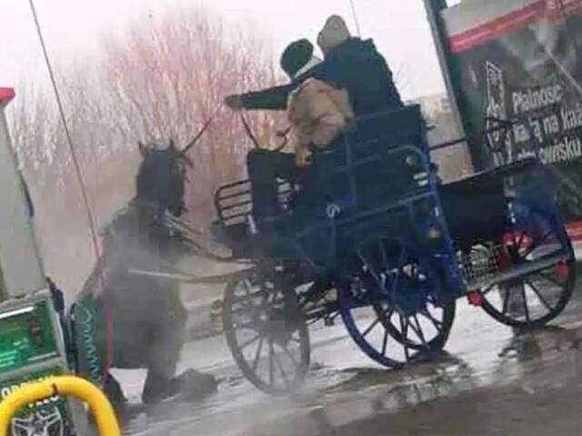 týranie