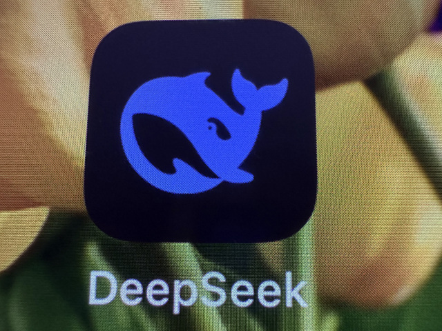 DeepSeek, logo