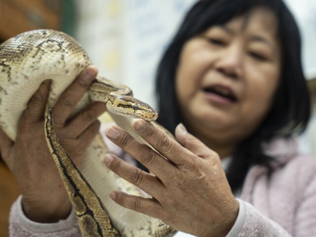 Chau Ka Ling