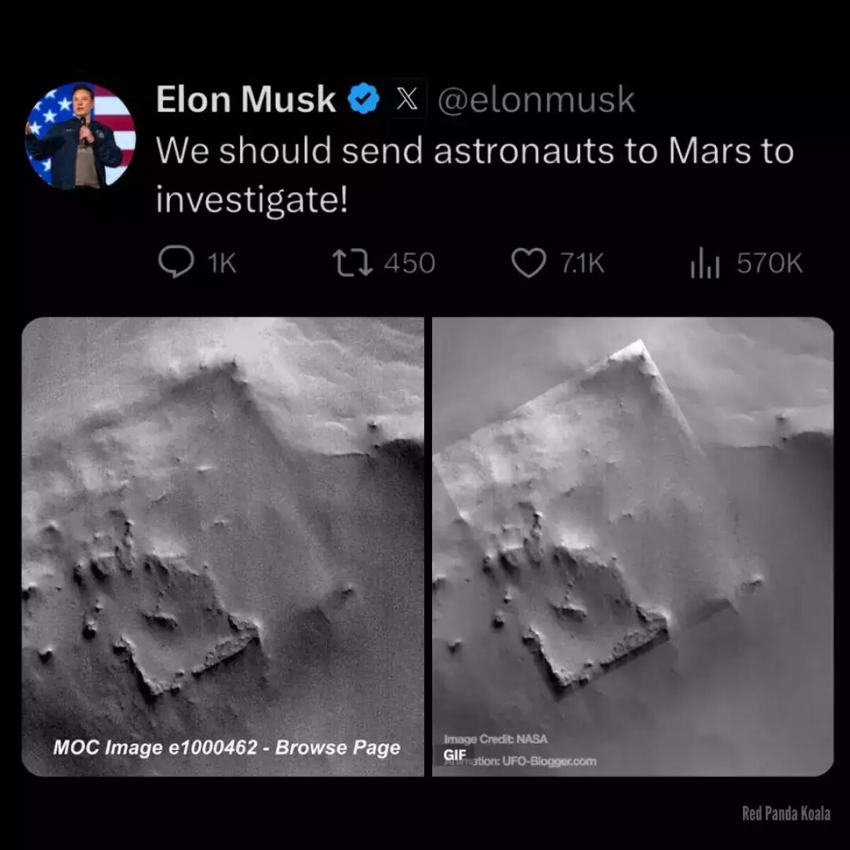 elon-musk-tweet