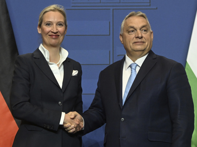 Maďarsko Nemecko Orbán AfD Weidelová Schôdzka