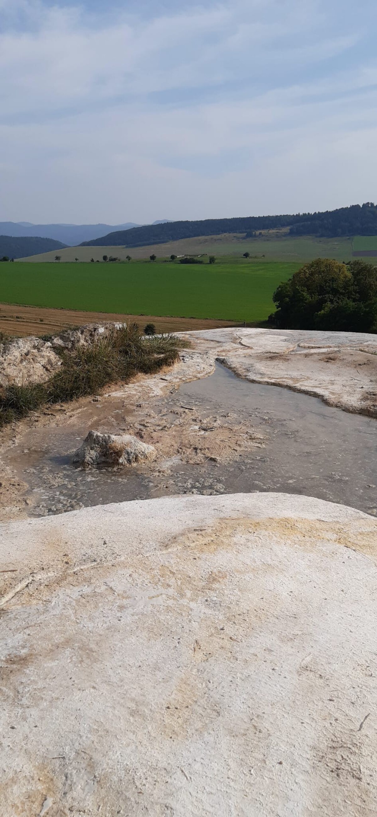 Sivá Brada, mReportér