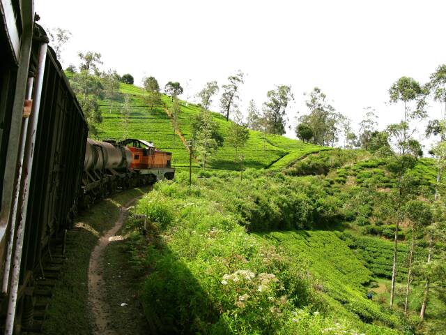 vlak na Sri Lanke, Srí Lanka, vlak, Sri Lanka by Bianka