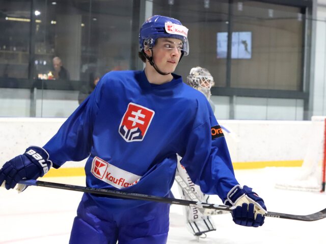 dvorský