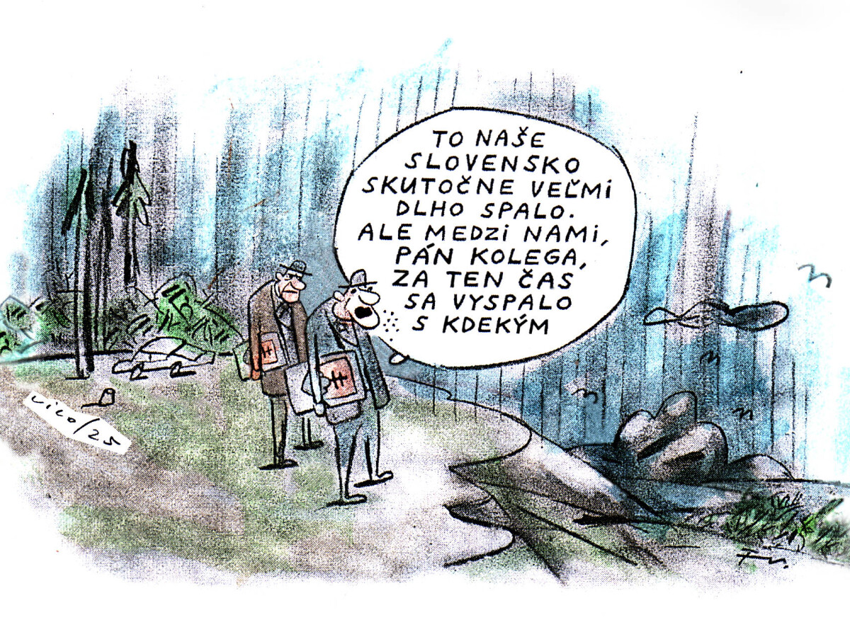 VICO, 24.02.2025