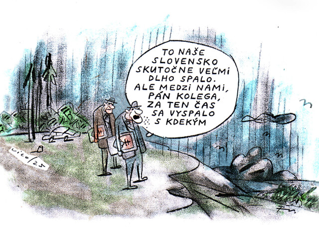 VICO, 24.02.2025