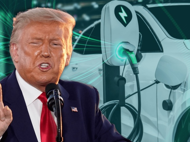 Donald Trump - fotomontáž