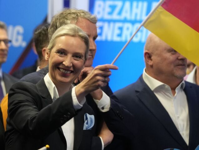 Alice Weidel, Alice Weidelová, AfD, Alternatíva pre Nemecko