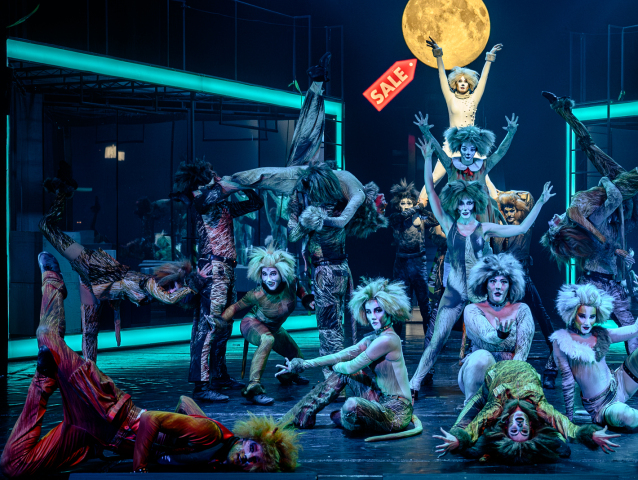 CATS 2025  foto R. Tappert