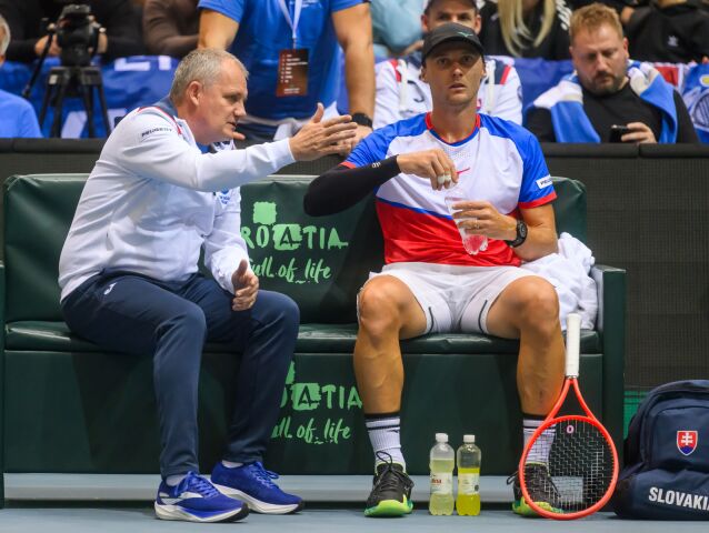 Slovensko, tenis, Davisov pohár
