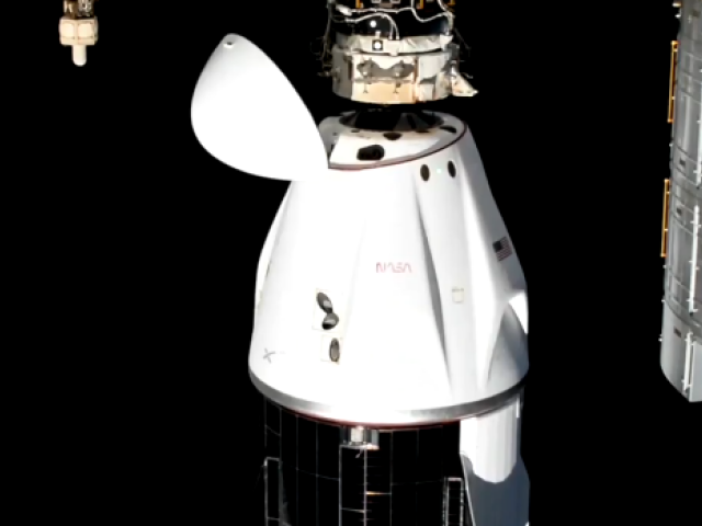 Spacex / Dragon /