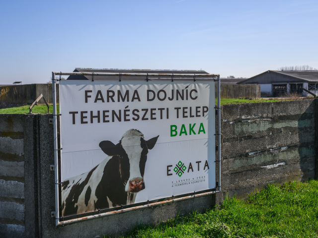 Baka / Slintačka / Krívačka /