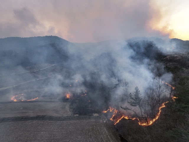 South Korea / Wildfires / Uiseong /