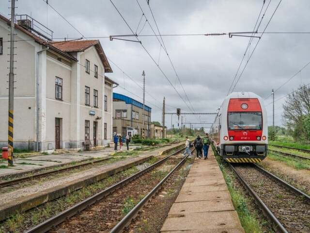 sekule