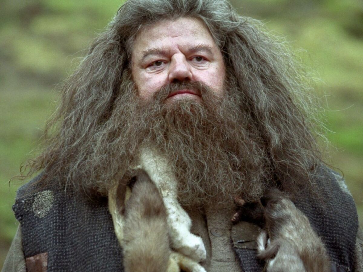 hagrid