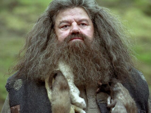 hagrid