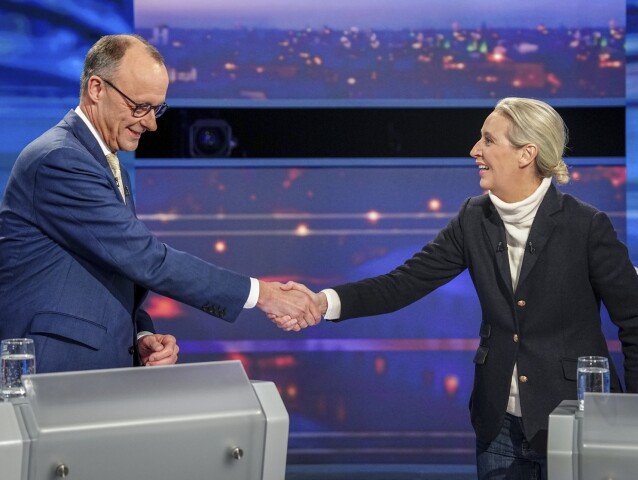 Friedrich Merz, Alice Weidelová, Alice Weidel, AfD, CDU
