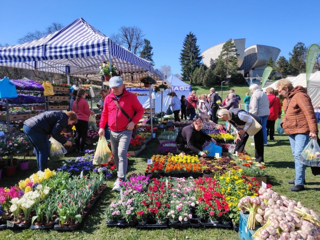 Gardeniáda, Banská Bystrica