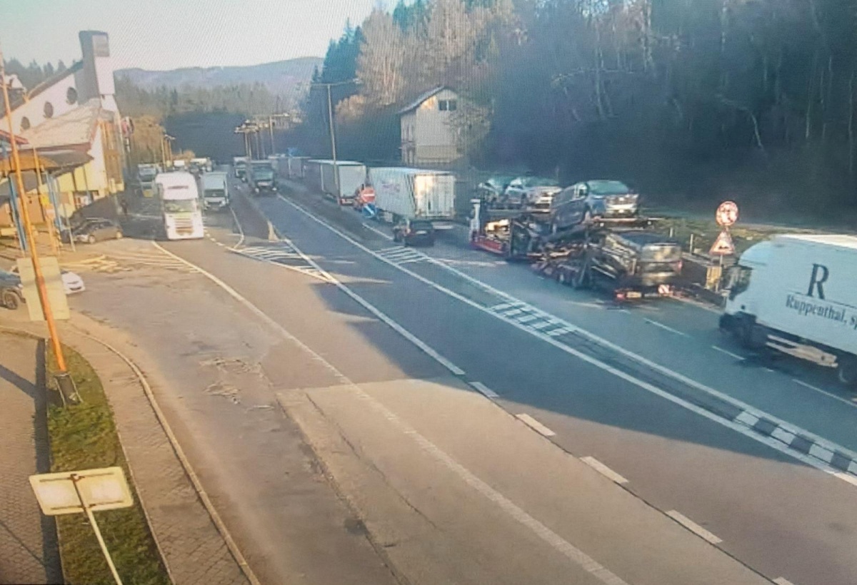 svrčinovec, kolóny, SLAK