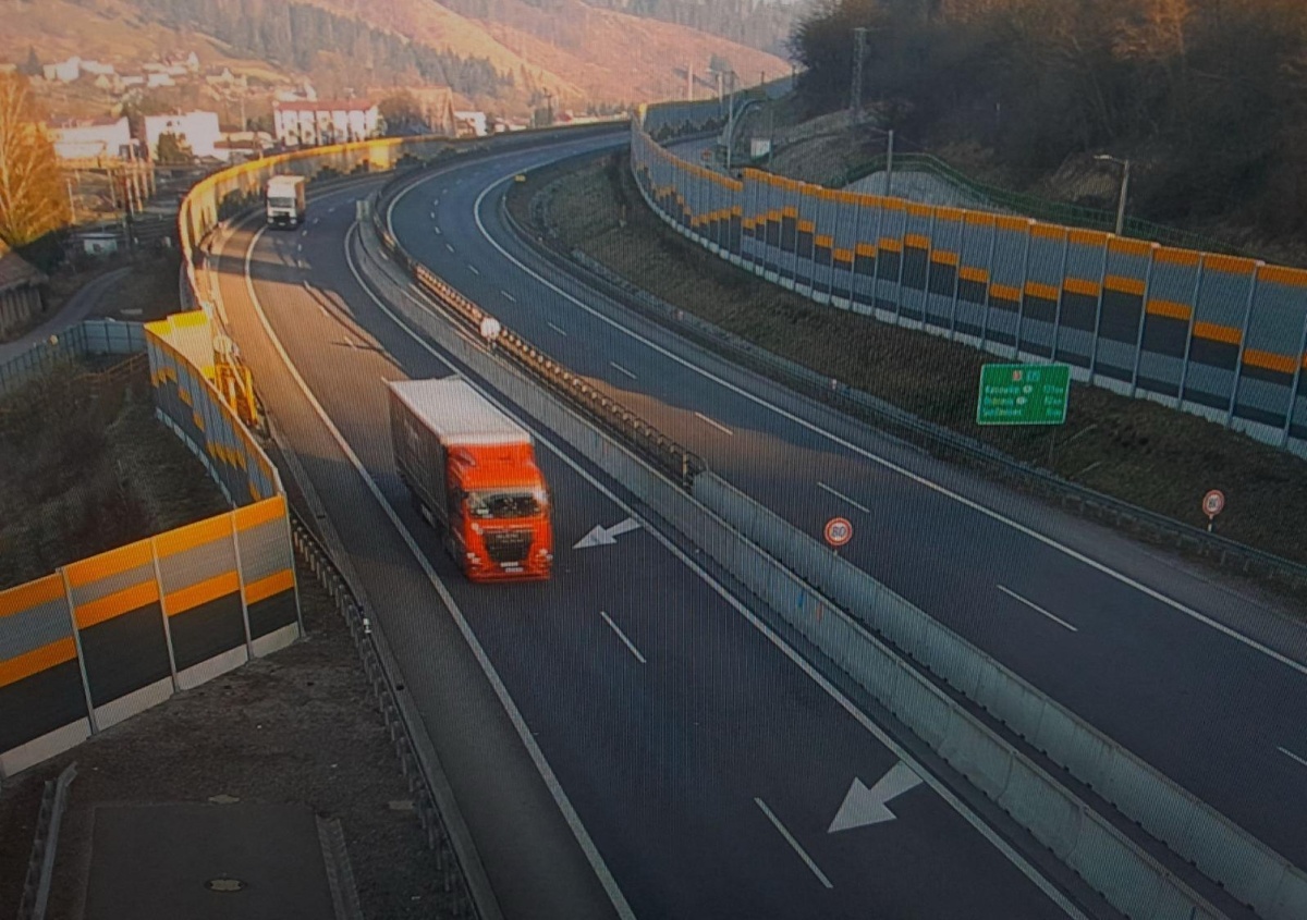 svrčinovec, kolóny, SLAK