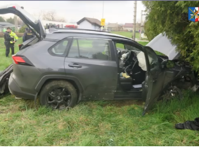 nehoda, Polícia ČR,