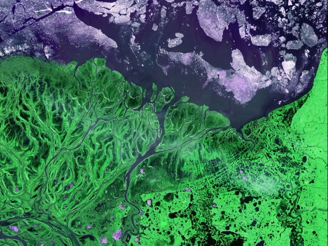 Yukon Delta